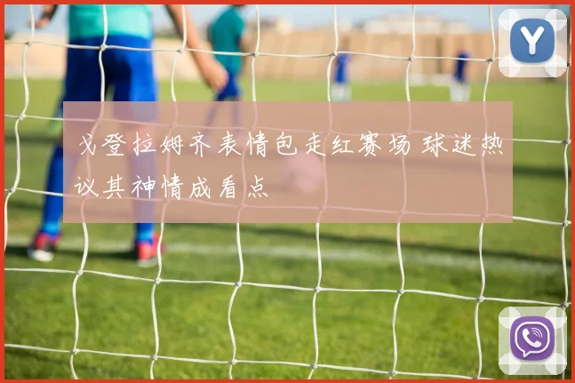 戈登拉姆齐表情包走红赛场 球迷热议其神情成看点