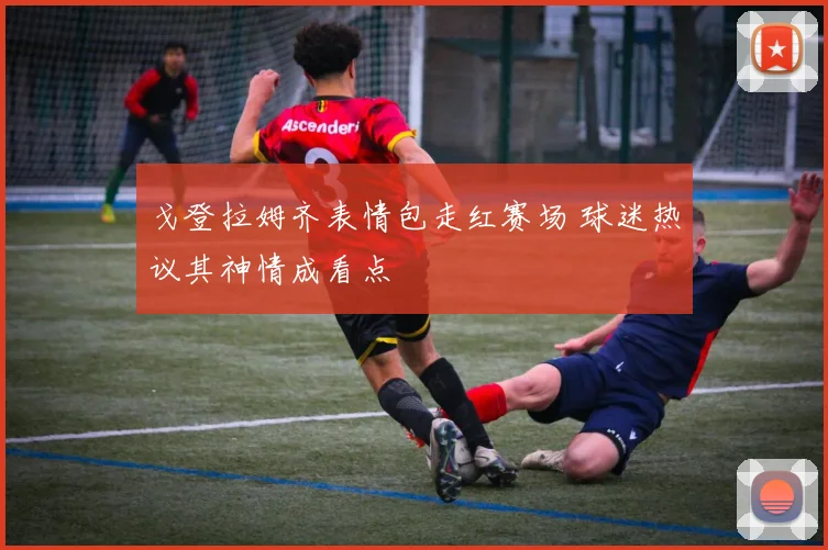 戈登拉姆齐表情包走红赛场 球迷热议其神情成看点