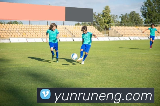 App Interface Preview